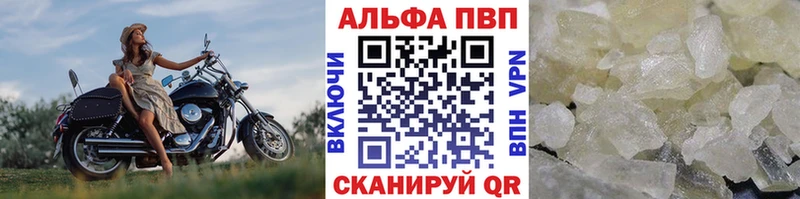 A-PVP СК  Новый Уренгой 