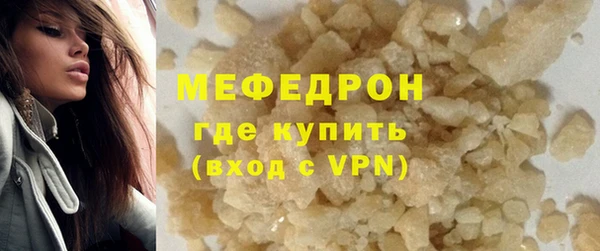 индика Богородицк