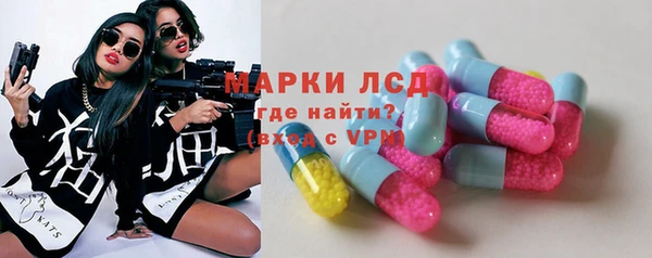 индика Богородицк