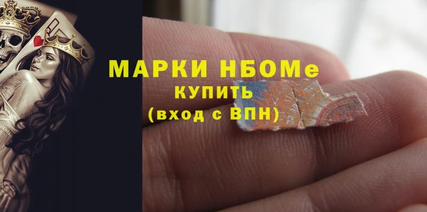 индика Богородицк