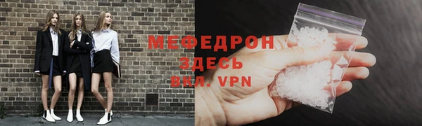 индика Богородицк