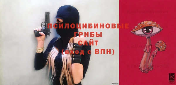 спайс Богданович