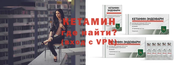индика Богородицк