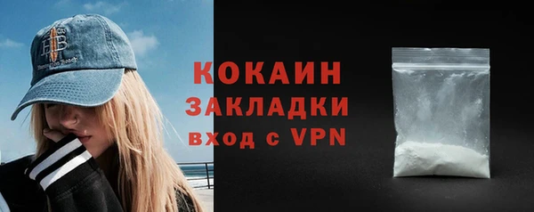 индика Богородицк
