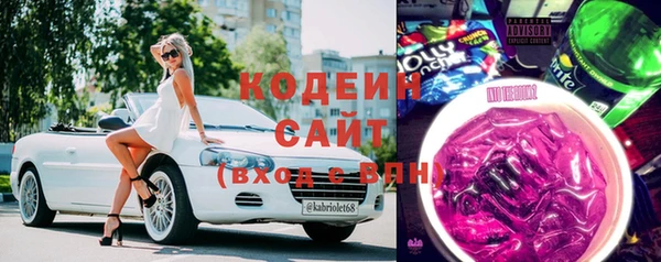 индика Богородицк
