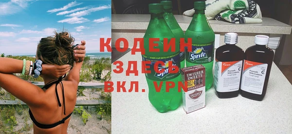 индика Богородицк