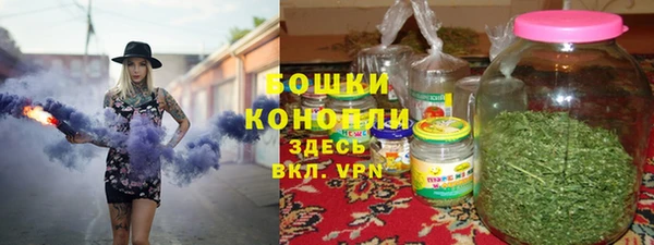 стаф Богородск
