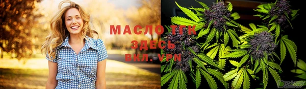 стаф Богородск