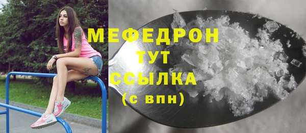 индика Богородицк