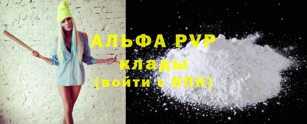 индика Богородицк