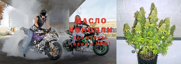 индика Богородицк