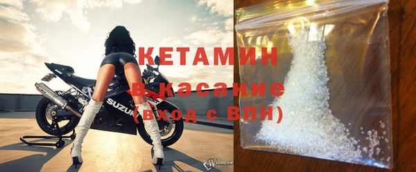 индика Богородицк