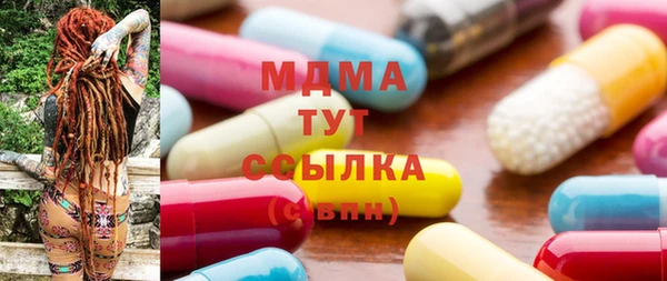 индика Богородицк