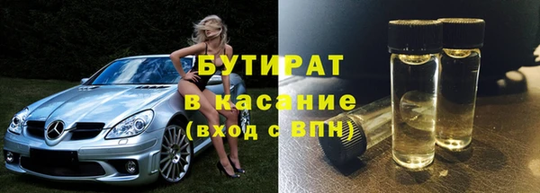 индика Богородицк