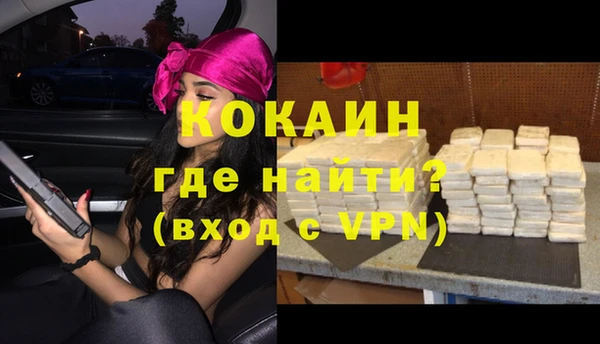 спайс Богданович