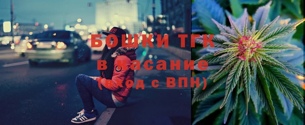 стаф Богородск