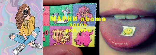 индика Богородицк