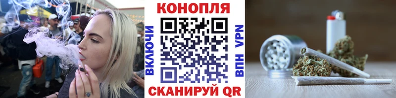 купить наркотики сайты  Новый Уренгой  Конопля гибрид 